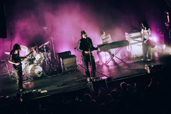 Geese Take Denver: See the Photos