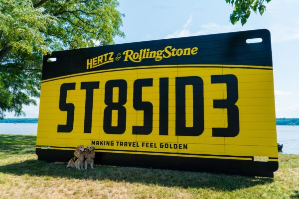 How 26 Golden Retrievers Took Over Stateside