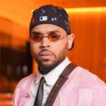 Chris Brown Must Pay Housekeeper $13 Million Over Dog-Mauling Attack