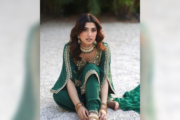 Bigg Boss 20: Just Who Is Love Gill?