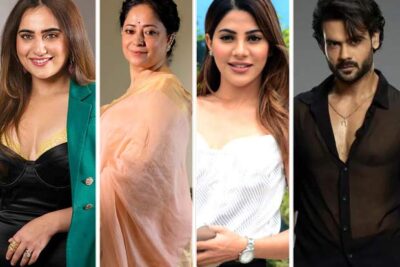 Microdramas get STAR POWER! Kusha Kapila, Sheeba Chadha, Nikki Tamboli, Vishal Aditya Singh join the vertical wave
