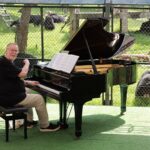 Songs in Ursa Minor: Yes’ Rick Wakeman Performed a Private Show for 150 Rescue Bears
