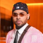 Chris Brown Housekeeper Accepts Reduced $9.5 Million Award for Dog Mauling